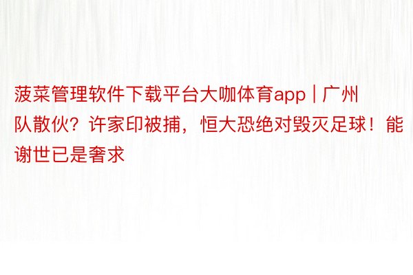 菠菜管理软件下载平台大咖体育app | 广州队散伙？许家印被捕，恒大恐绝对毁灭足球！能谢世已是奢求